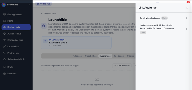 Launchible Product Hub showing linking an audience segment to a product