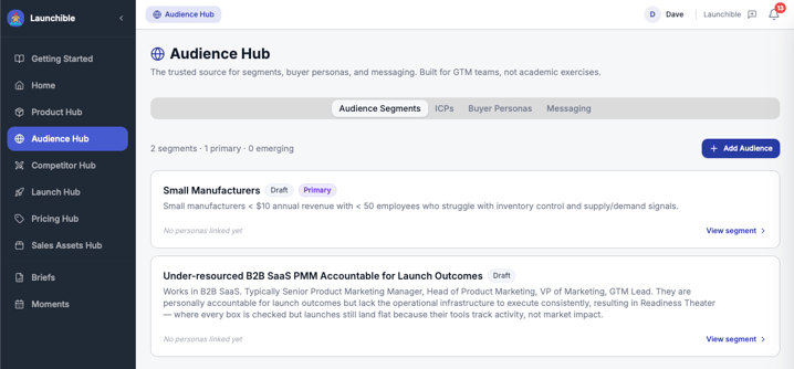 Launchible Audience Hub showing Audience Segments, ICPs, Buyer Personas, and Messaging